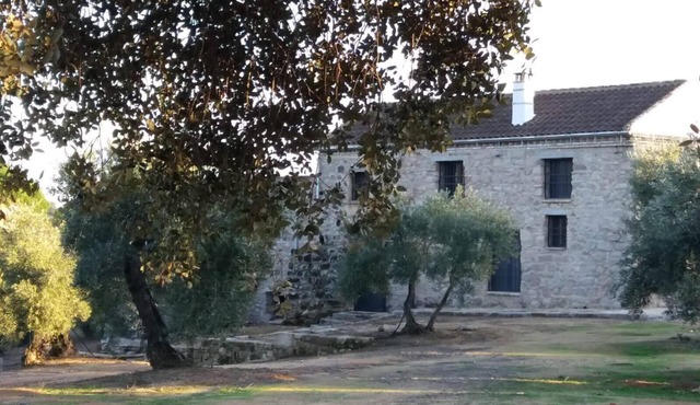 Las Olivas vineyard. Fully independent house located in Andujar.