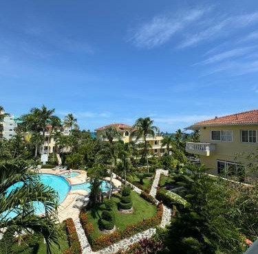 Las Palmeras by Graziano