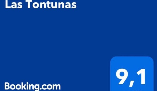 Las Tontunas