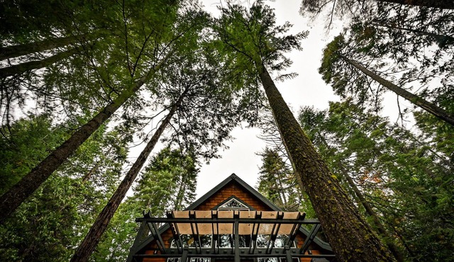 Lassen Creekside Cabin ~ 9 Miles to Park ~ Fire Pit ~ EV Charger ~ Pets!