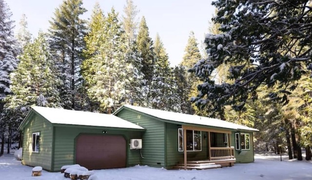 Lassen/McCumber Lake Luxury Cabin with Hot Tub