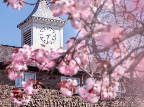 Last Drop Village Hotel & Spa