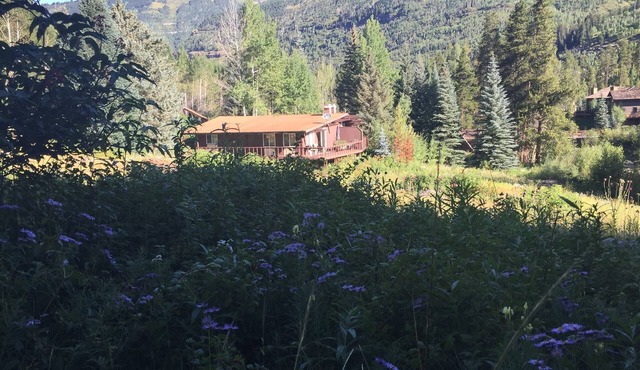LAST MINUTE BARGAIN Vail Cabin with Spectacular Views, one of a kind views!