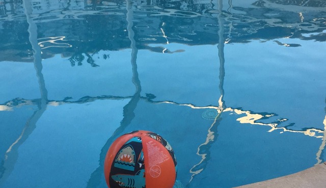 Last minute gate away.House on the Beach,4 bedr, Private Pool,Ormond-by-the-Sea!