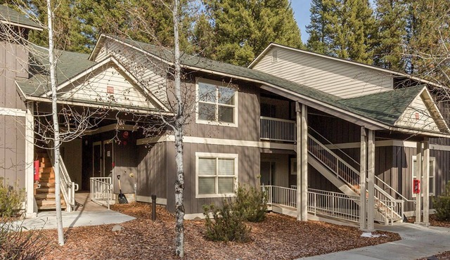 Last minute getaway! Head to the mountains!