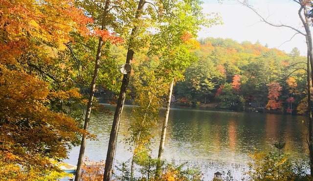 Last minute June 26! Privacy-hot tub-lakeside log cabin for 8, 3bedrm6 beds2bath