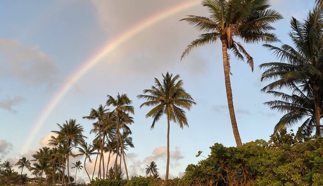 Last Minute SUMMER DISCOUNT 2026-Pristine Haleiwa North Shore Beachside Retreat