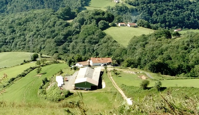 lasterenborda cottage in the heart of the farm