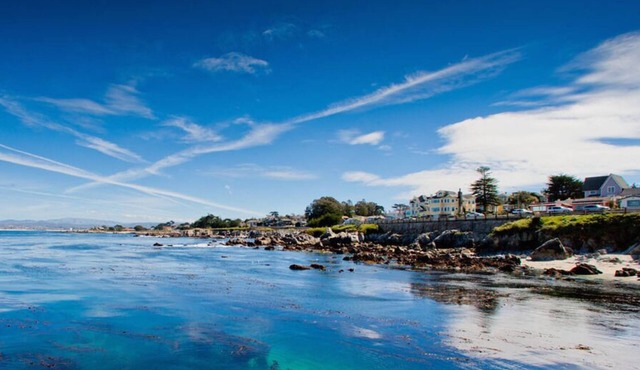 Latitude Adjustment - Pacific Grove Duplex - Ocean View, Walk to Town, Pet Friendly!