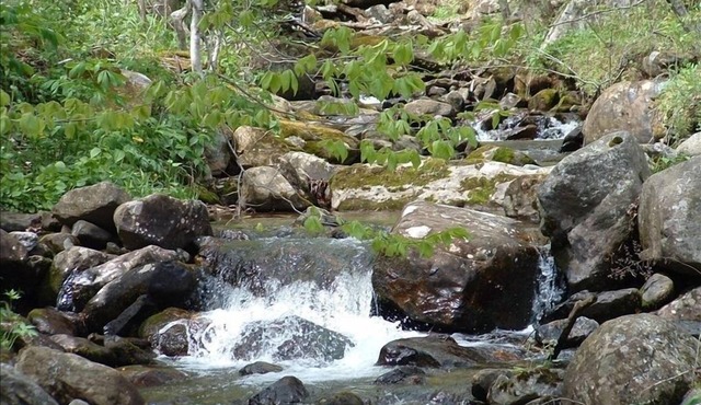 Laurel Creek Cottage -Creekside/Near Roan Mountain (rate includes cleaning fee)