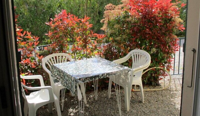 Laurel Rose (beach at 100m)