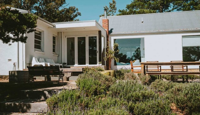 Lauriston Park Summar