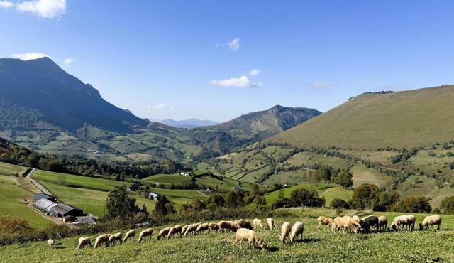 Lauseig - Lourdios Ichere