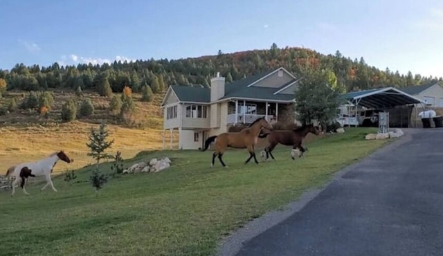 Lava Hot Springs Country Staynn