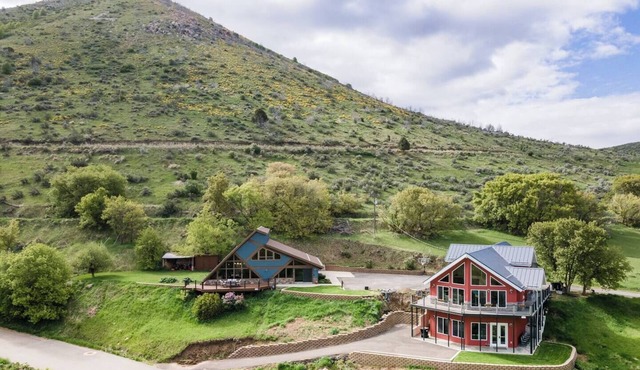 Lava`s Kings of The Hill