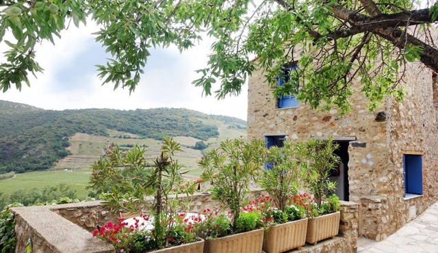 Lavande - PLANEZES - Gîte