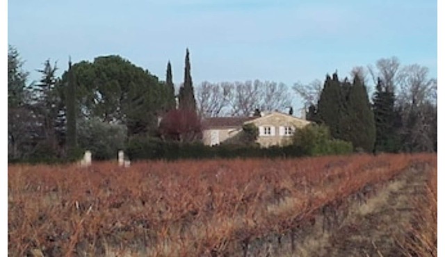 Lavender+Cicadas+Olive trees, Mas Le Moulin Neuf