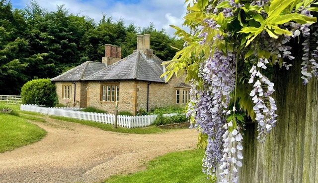 Lavender Cottage