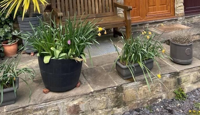 Lavender Cottage Grewelthorpe Nr Masham Ripon