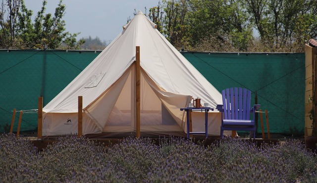 Lavender Dream in Glamping Rincón de Lavanda