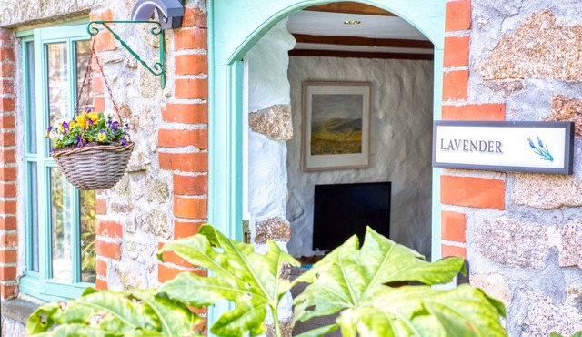 Lavender: Easy Access to both North & South Coast of Cornwall - Pet Friendly
