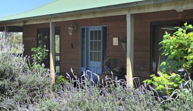 Lavender Farm Yarra Valley