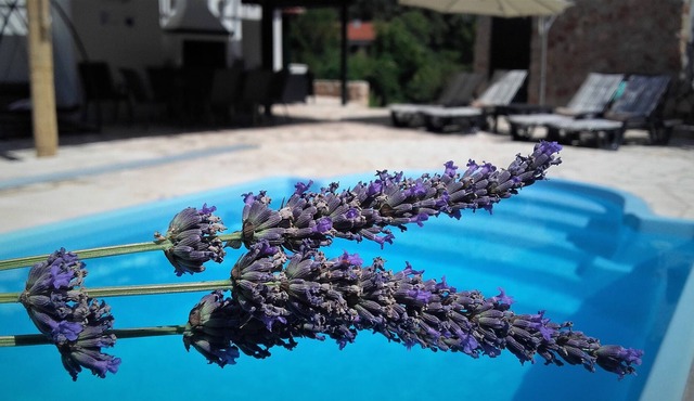 LAVENDER HILL HVAR VILLA ****with pool,jacuzzi,sauna.