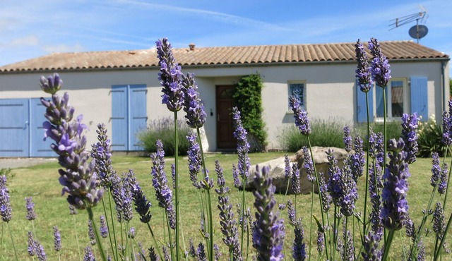 Lavender House has 2 bedrooms sleeping 4 people.