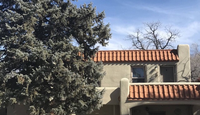LAVENDER LIZARD B Upper Unit CASITAS