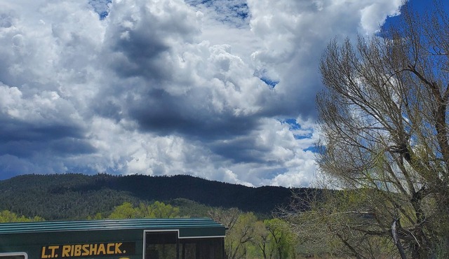 Lavender Trail Ranch