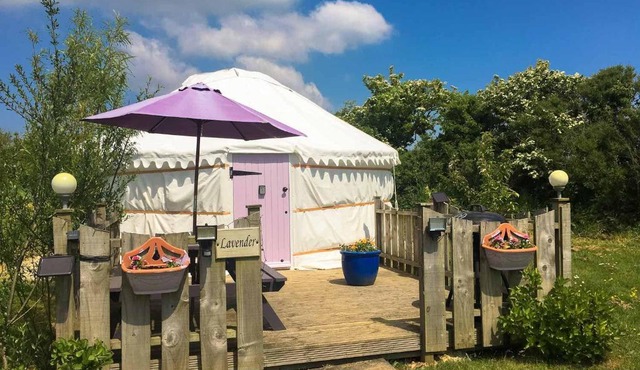 Lavender Yurt
