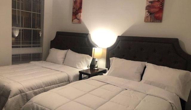 Lavish Apartment near Houston Medical Center