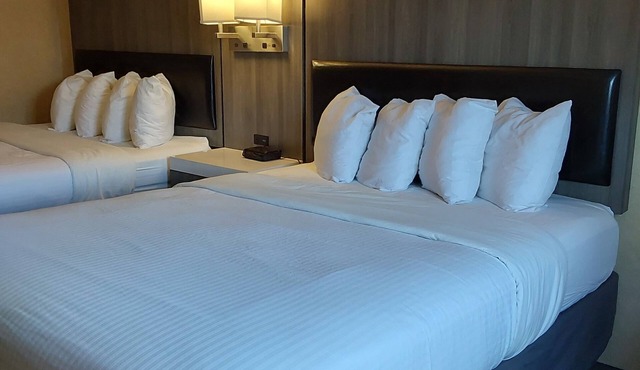 Lavissh Inn & Suites