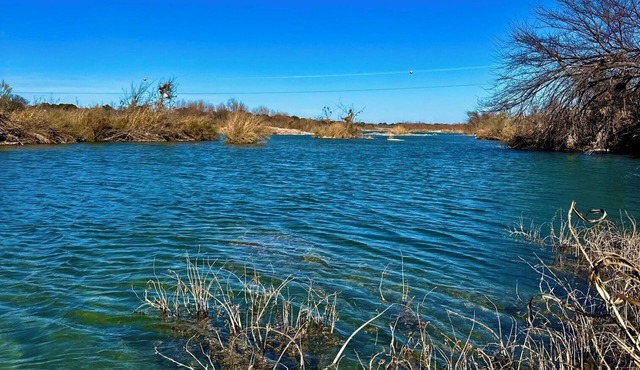 Lawrence's Llano River Tree Haus