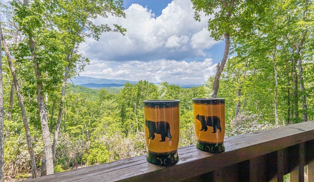 Lazy Bear Cabin | Secluded Year-Round Mountain View, Hot Tub, Fire Pit, Games