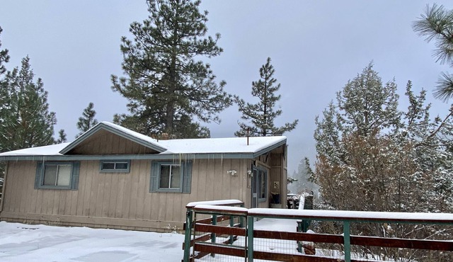 Lazy Bear Lodge - 3BR/2BA/relaxing forest views/Smart TV/Wifi/Fenced Yard
