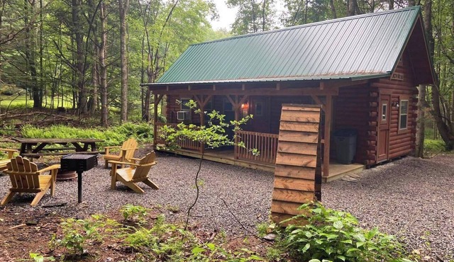 Lazy Bear Log Cabin near Cook Forest State Park