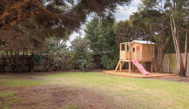 Lazy Daze at SummerHaze