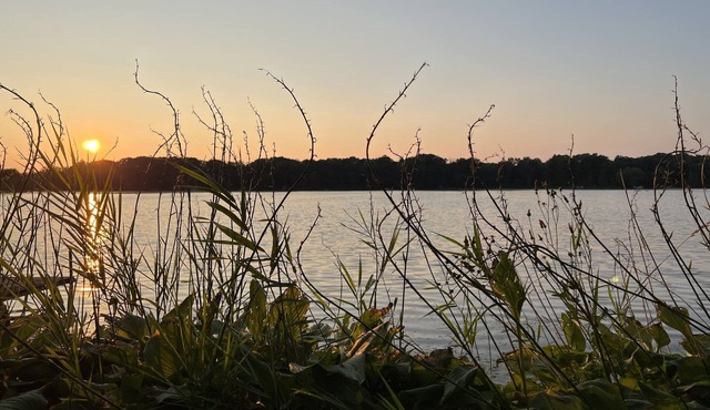 Lazy Lake Retreat 3 bed 2 bath. Includes sauna, kayaks, paddle boards, hot tub.