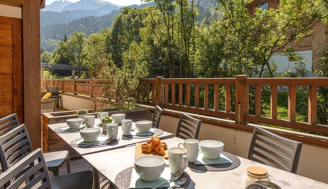 LCZ - Luxueux T4 au pied des pistes, 5*