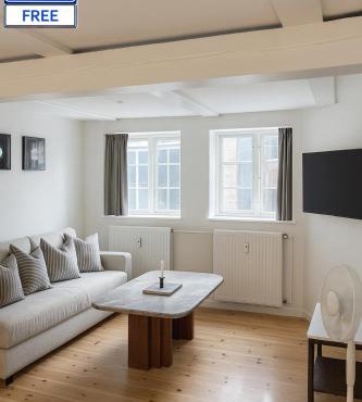 LD Central Lejlighed Odense C