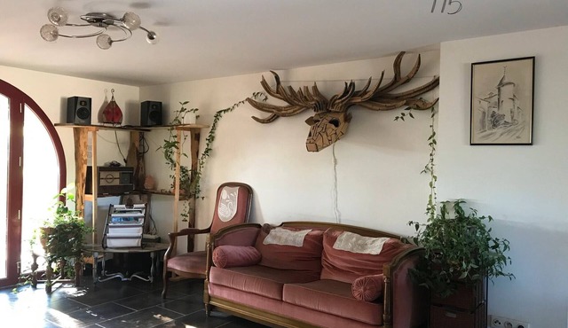 Le 115 Retour aux Sources