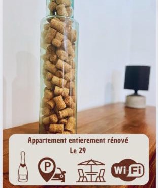 le 29 - Appartement au coeur du vignoble champenois