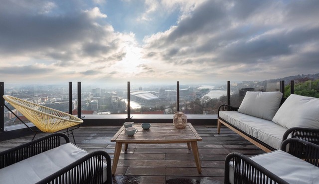 Le 360 - Appt vue panoramique sur Lyon