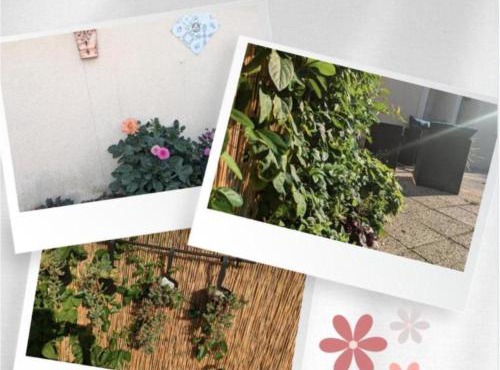 Le Bangorcoon Duplex Véro