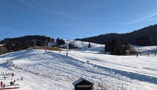 Le Bisanne: Ski-in/Ski-out - Espace Diamant Domain