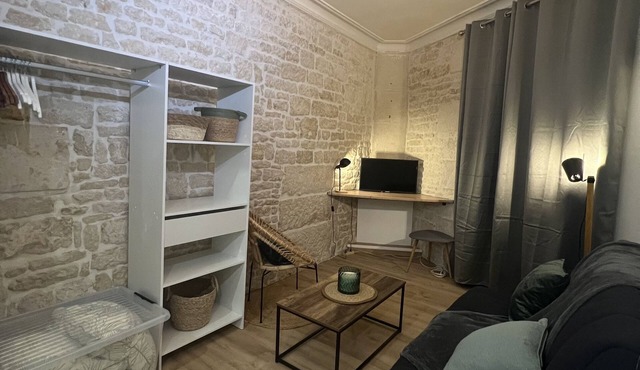 Le Bjorn - Cosy T1 refurbished - Centre