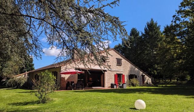 Le bois des fées de Chazelles - The bird on the branch