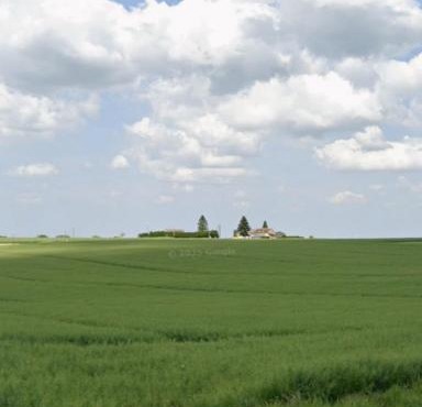 Le bois saint Hilaire