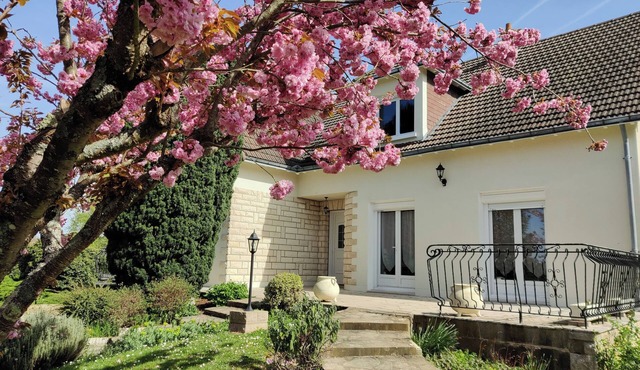 LE BOISSANTE * - Parc de Beauval zoo 10 minutes away - Children's games